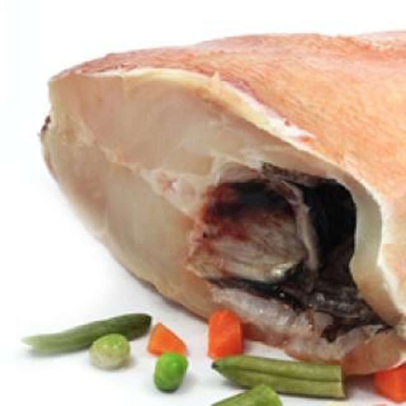 Peixe Vermelho